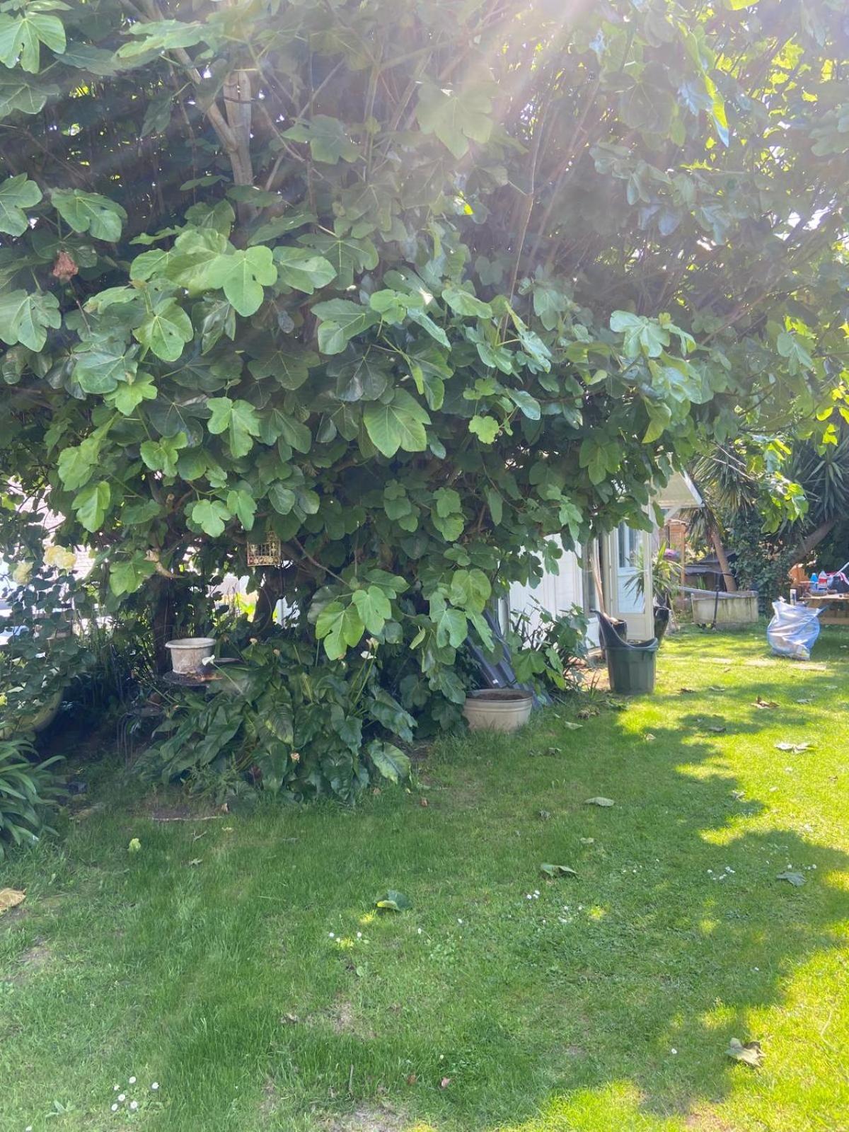 Cottage Boheme - Voyageur Solo - Jardin Partage Perros-Guirec Extérieur photo