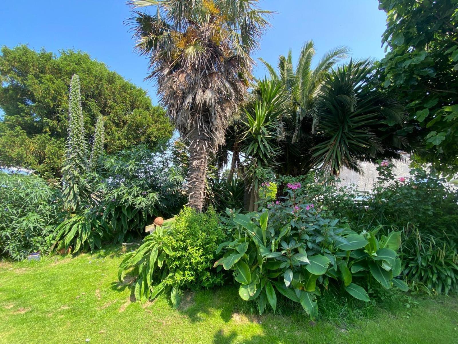 Cottage Boheme - Voyageur Solo - Jardin Partage Perros-Guirec Extérieur photo